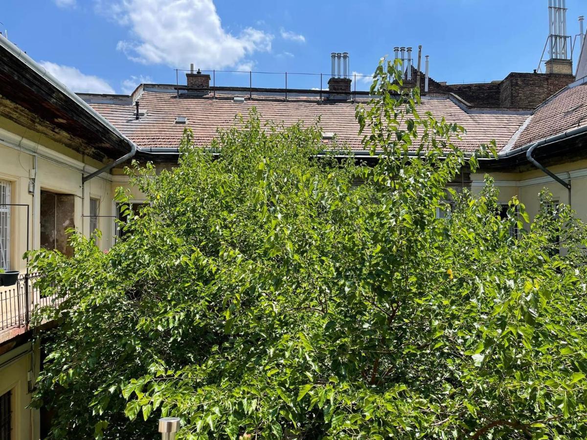 Top 5 Winner Appartement *